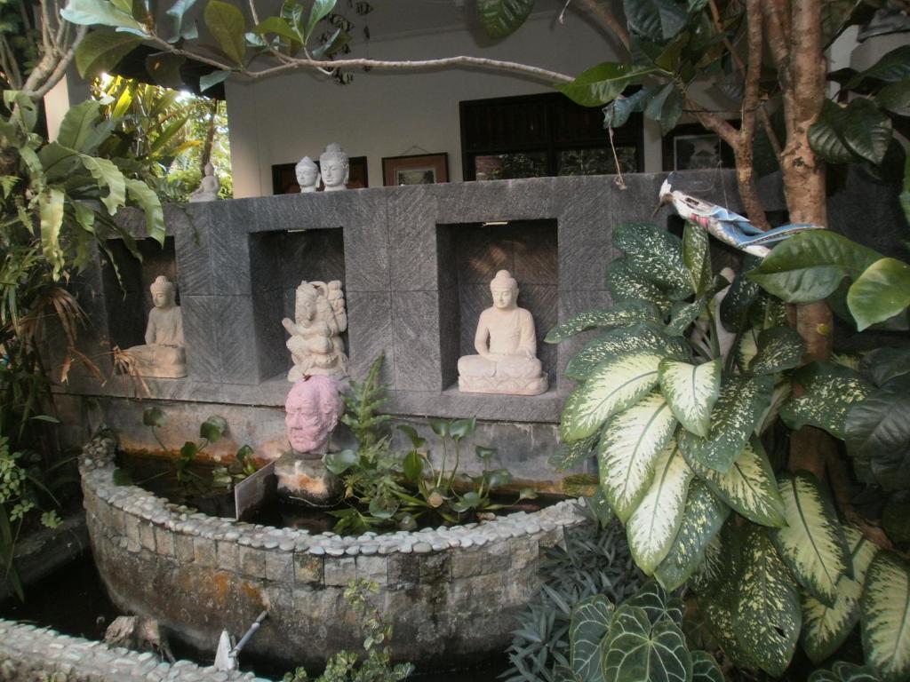 Alamanda Accomodation Ubud Dış mekan fotoğraf