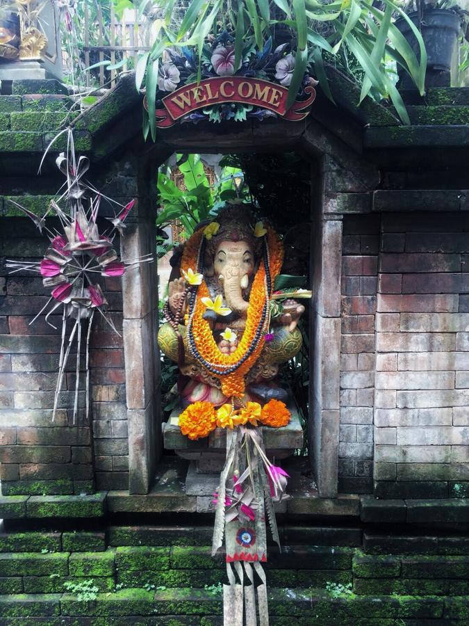 Alamanda Accomodation Ubud Dış mekan fotoğraf
