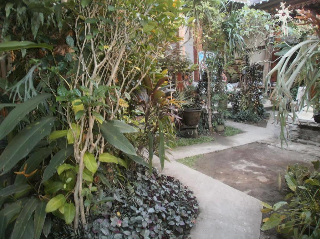 Alamanda Accomodation Ubud Dış mekan fotoğraf